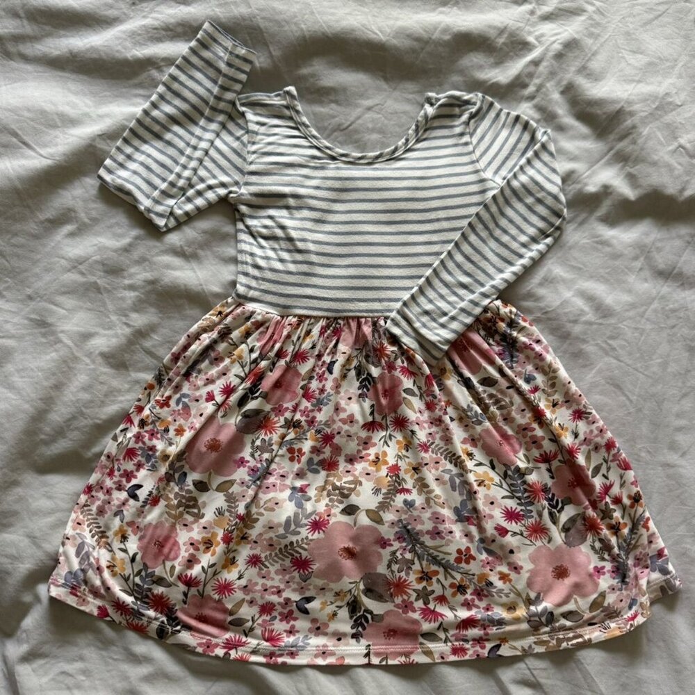 Little Sleepies “Play” Mauve Meadow Stripes Skater Dress (3T)